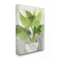 Ступел индустрии зелено голямо растение бял плантатор вътрешен дом живопис платно стена арт дизайн от Албена Христова, 36 48