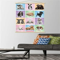 Кийт Кимбърлин - Кученца - Плакат за стена на Cuties Grid с магнитна рамка, 22.375 34